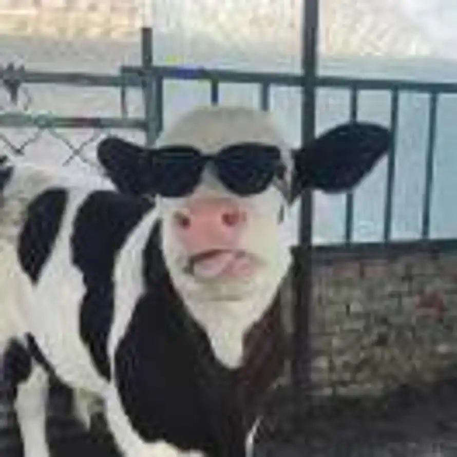 ༺梁建增༻的头像