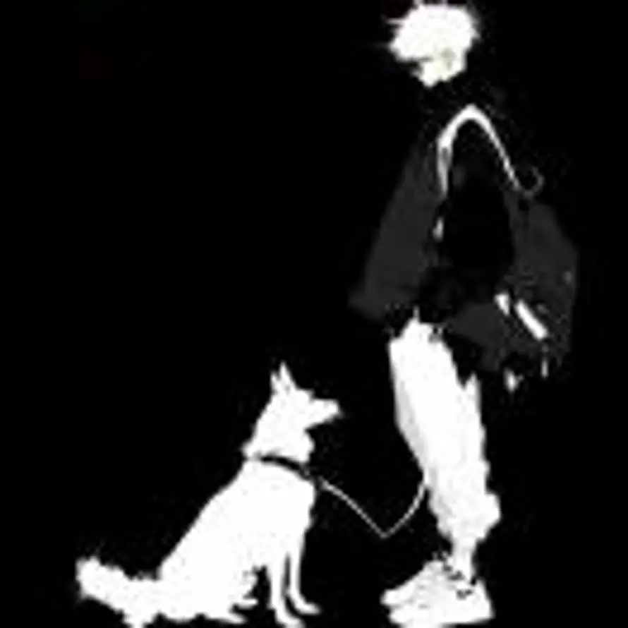 Candy One 🐾的头像