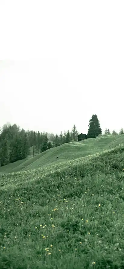 4k山林壁纸 - 户外 - 树林 - 绿色「哲风壁纸」