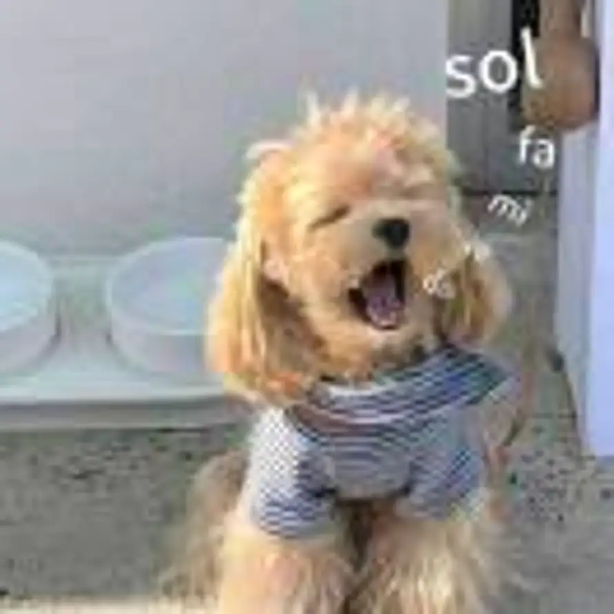 高丽娜的头像