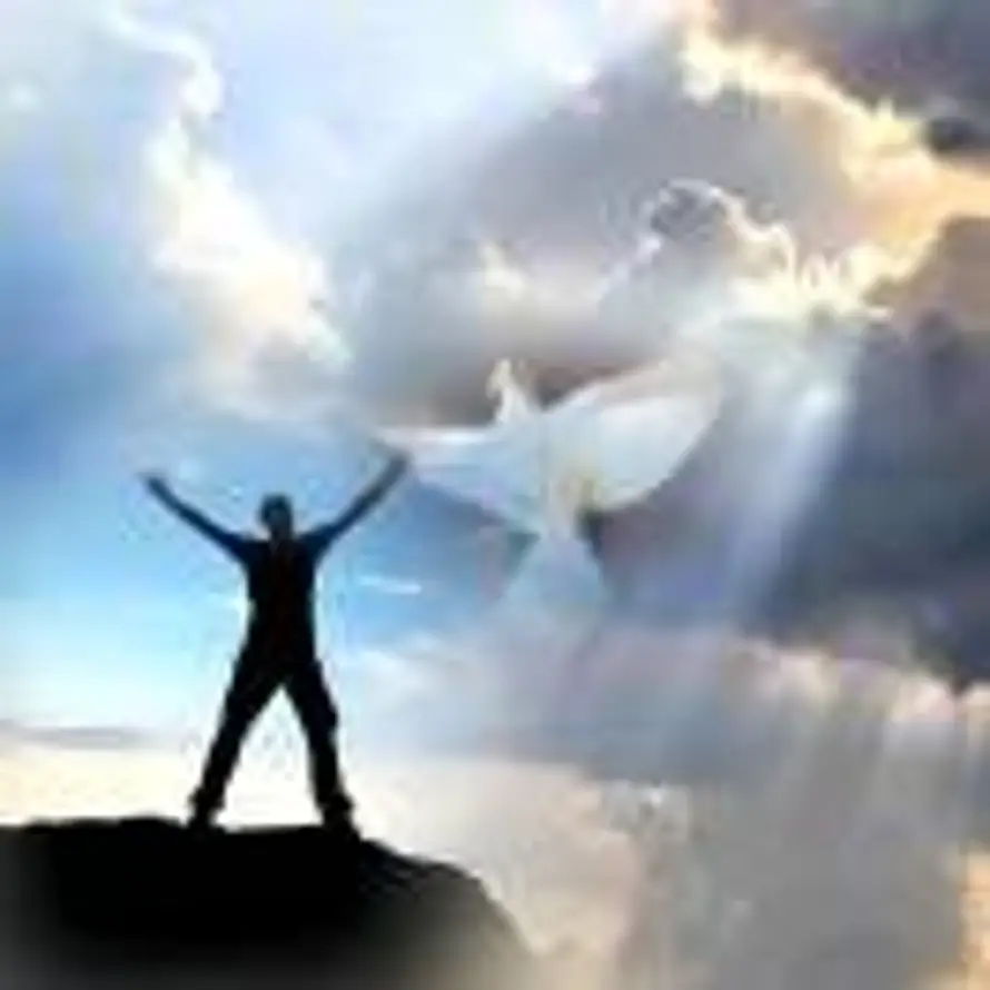 心海潜行的头像