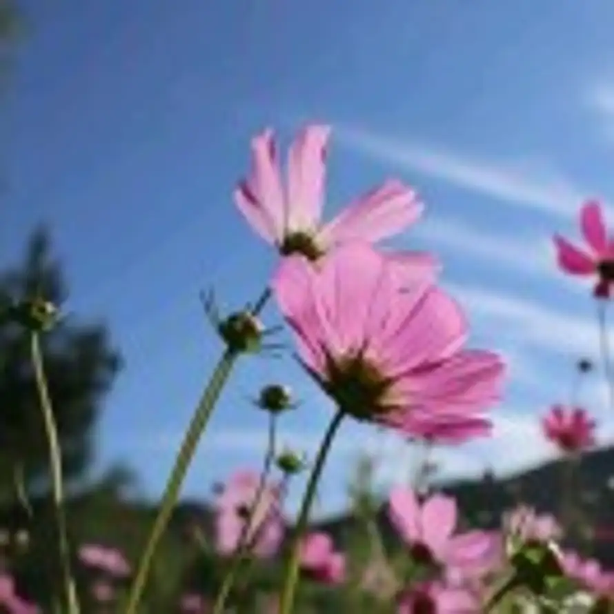 缘分让我认识你的头像