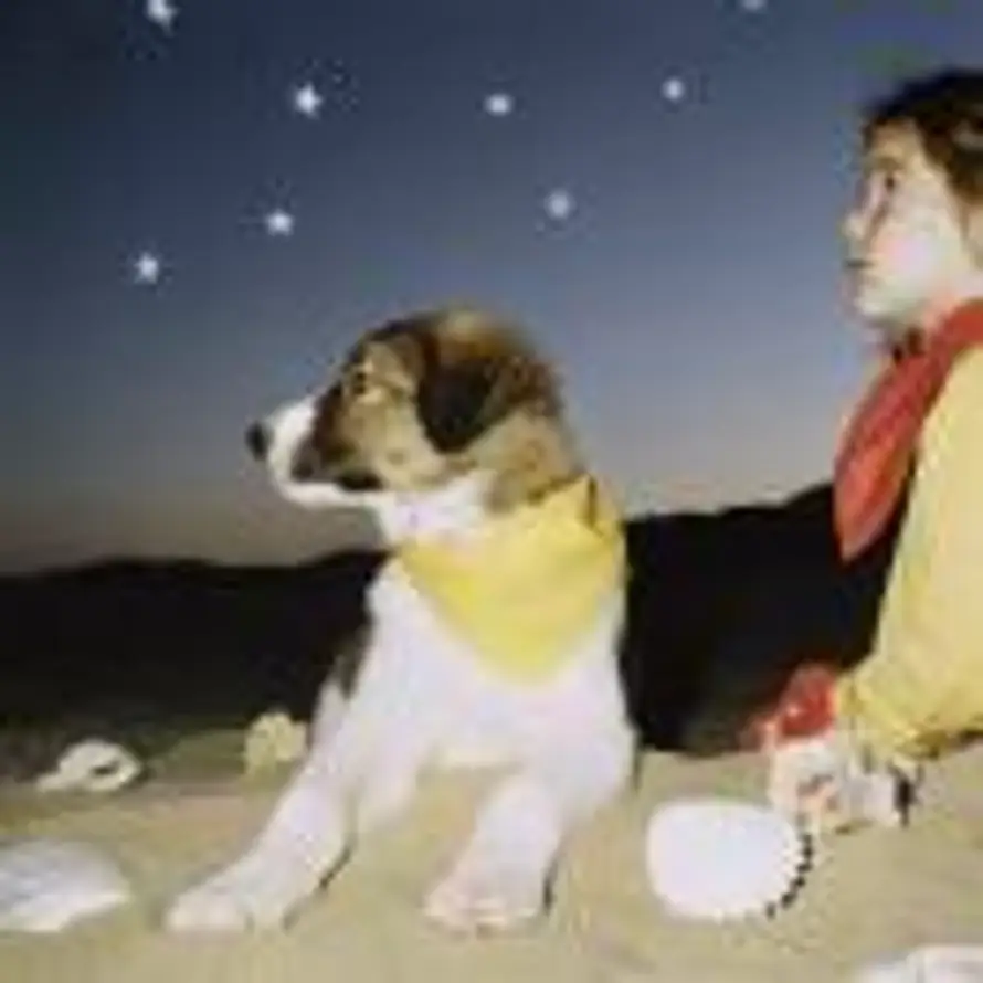 三原色灰的头像