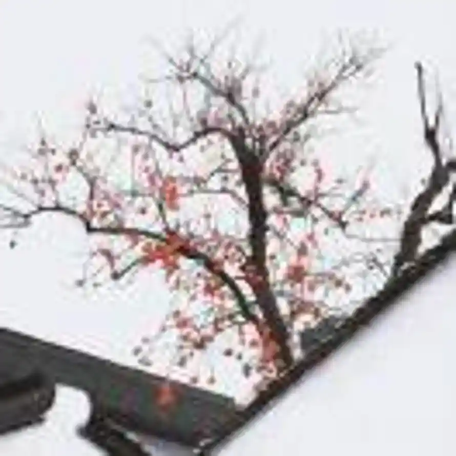 沐染清欢的头像