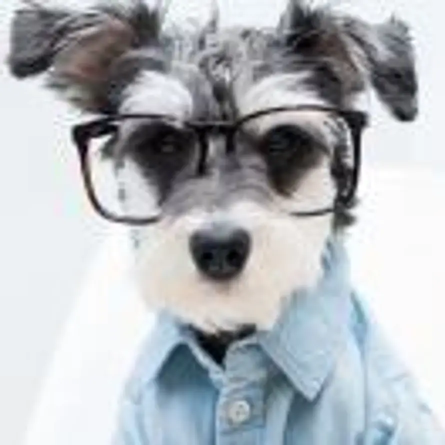 蘑菇先森Nicholas的用户头像 - 哲风壁纸