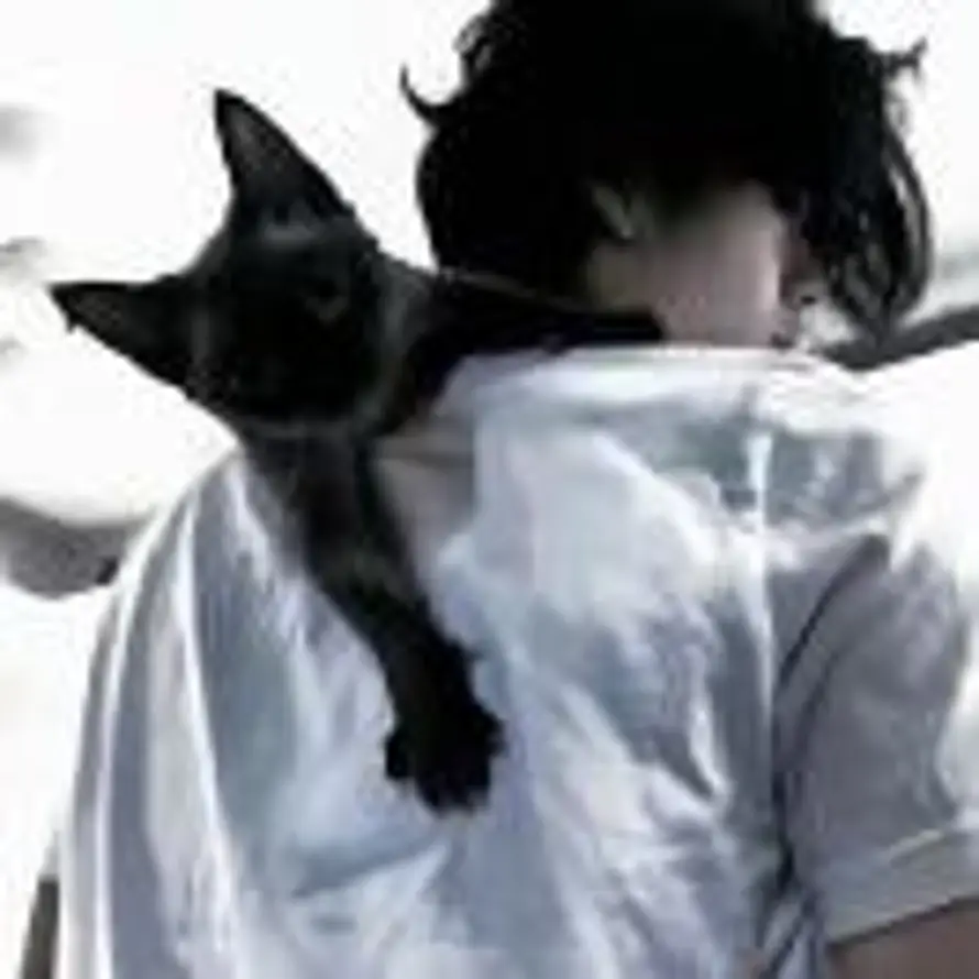 生姜炖苦瓜的头像