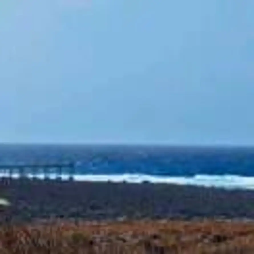 XCMG 潘东的头像