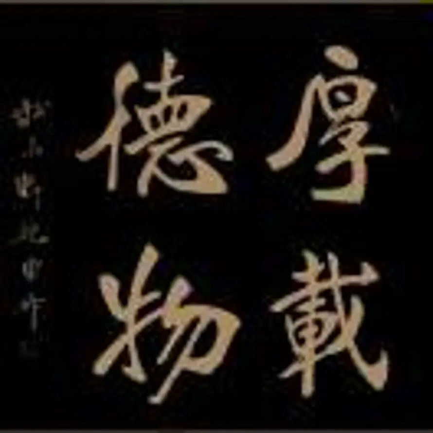 用户A-王涛的头像