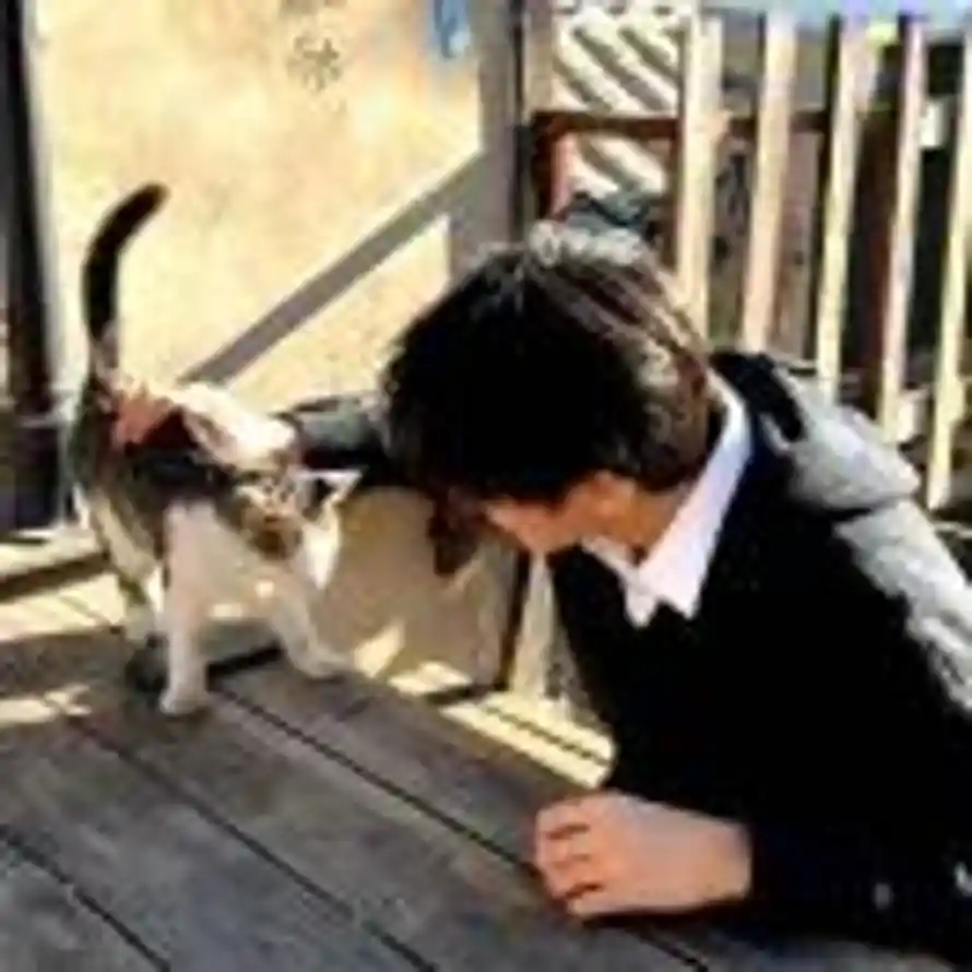 究极菠萝的头像