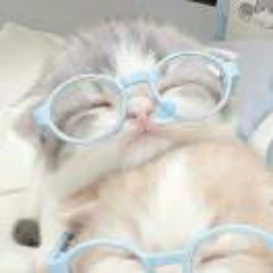 亦许朝朝暮暮的头像