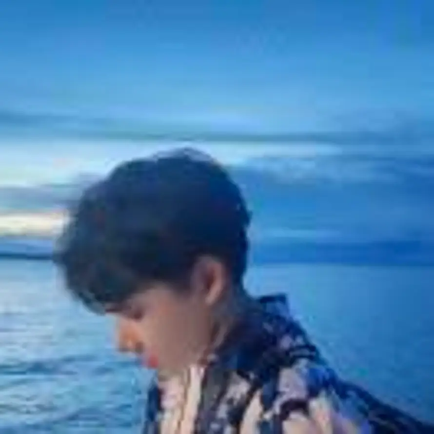 夏至秋凉i的头像