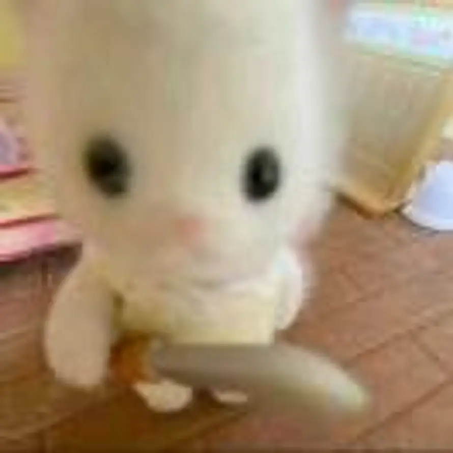 沐阳栖梧的头像