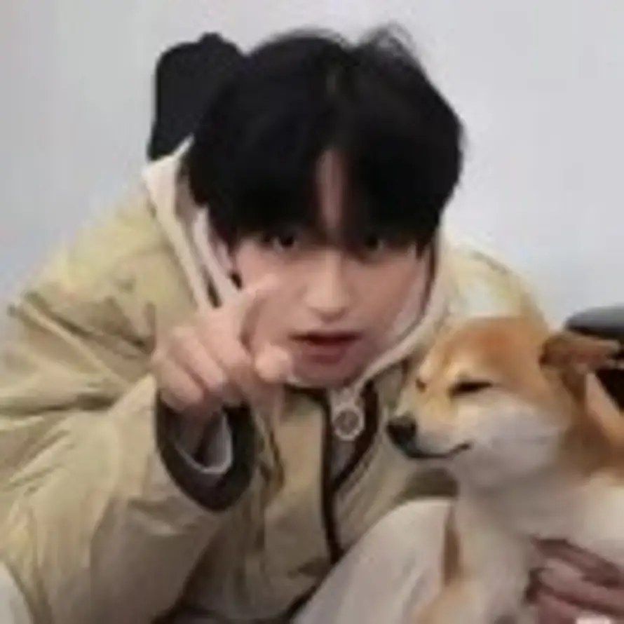 木木汐屿的头像