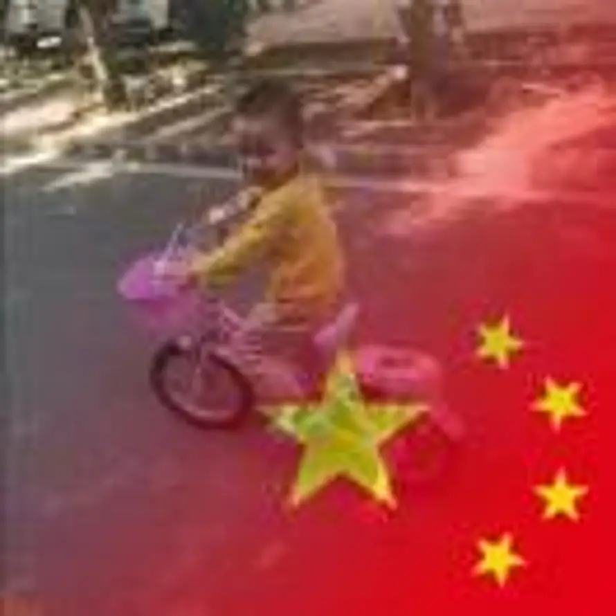 欢快的鱼儿的头像