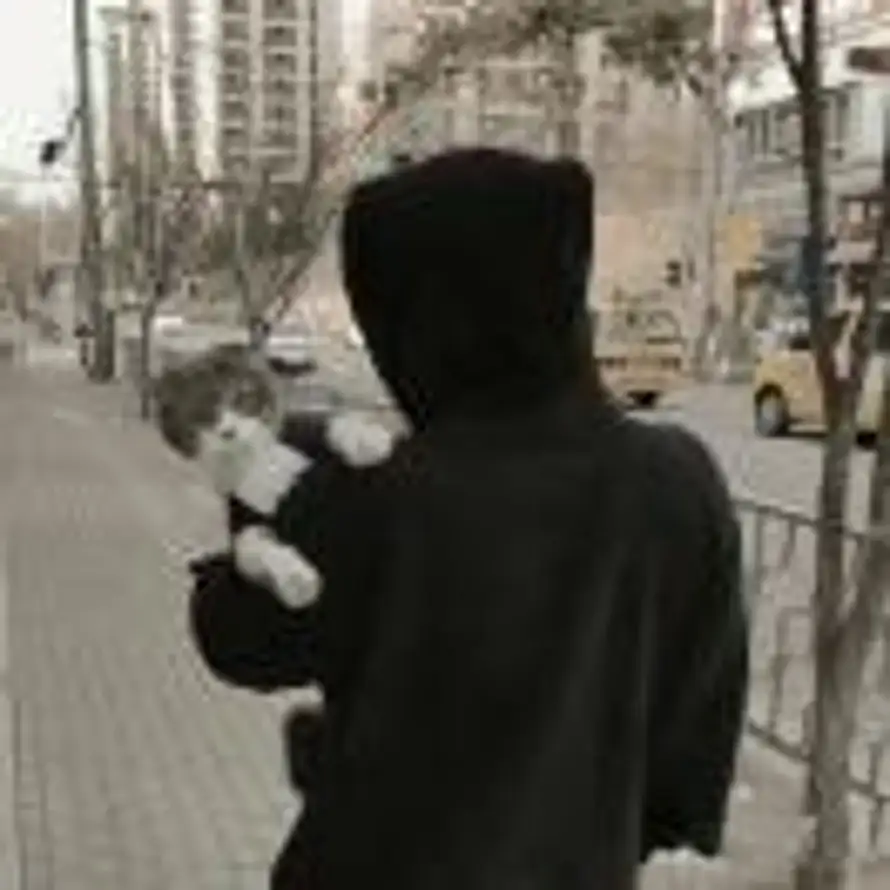Y的头像