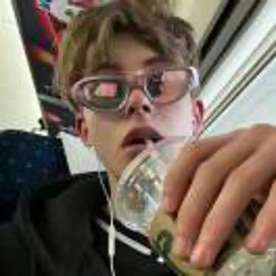 🎄的用户头像 - 哲风壁纸