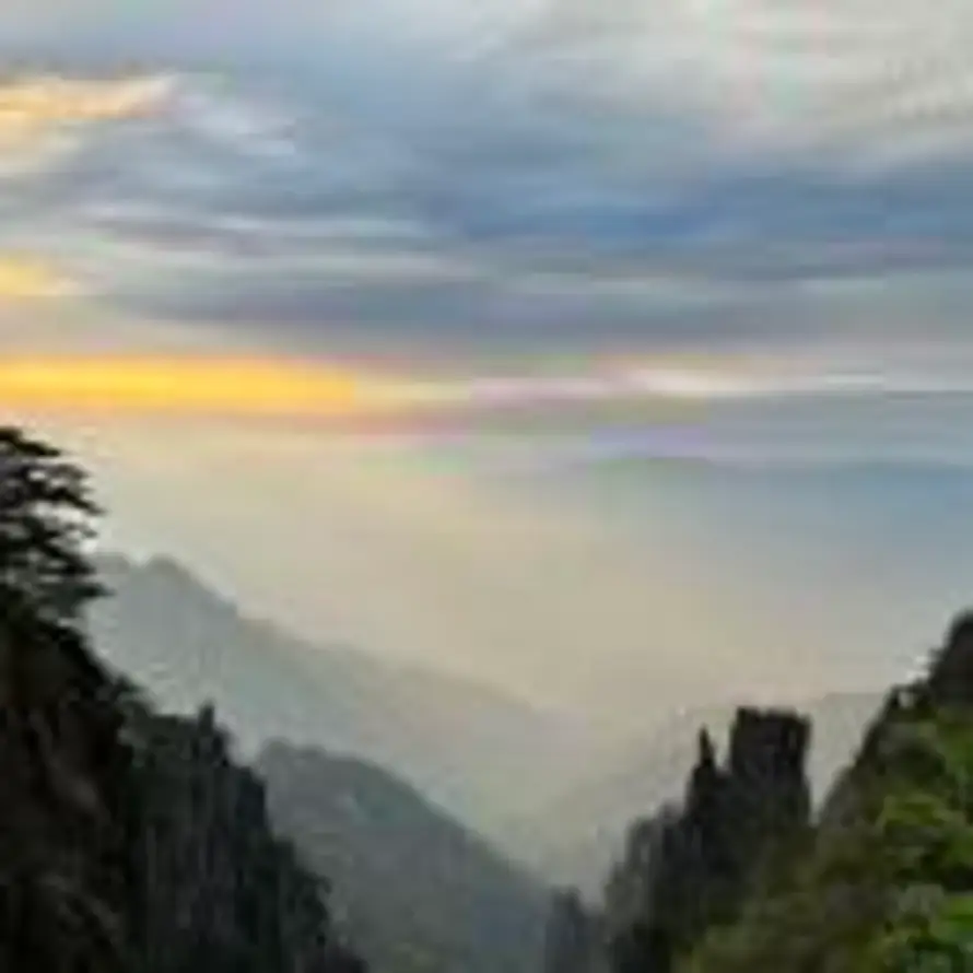 骄阳似我的头像