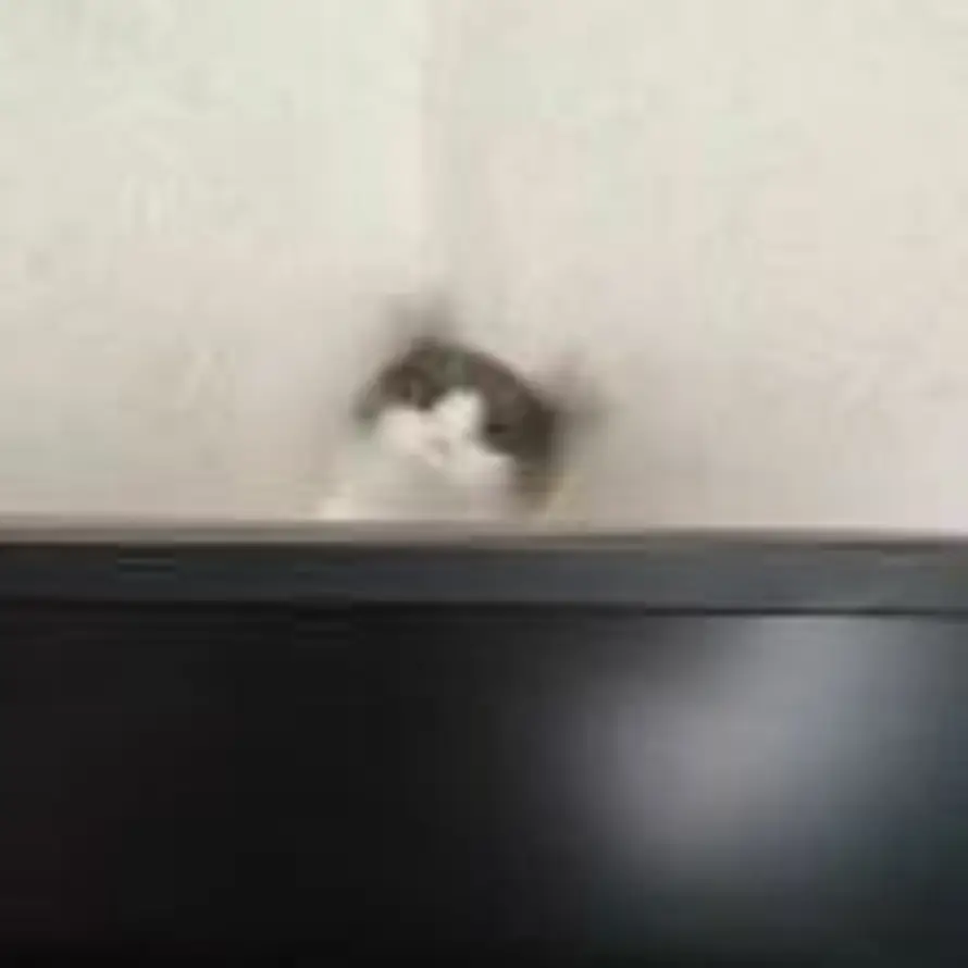 阴极射线显像管控制器的头像