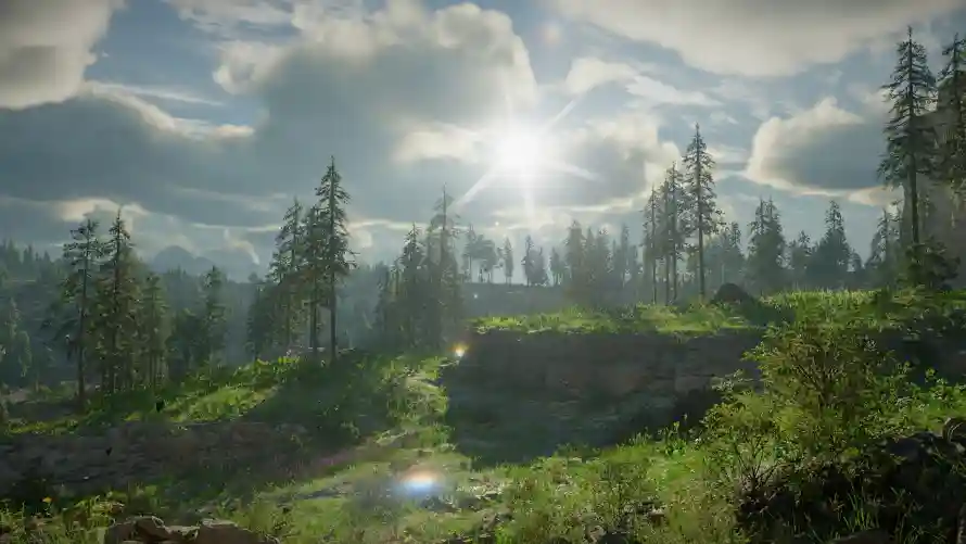 4k太阳壁纸 - 山林 - 户外 - 树木「哲风壁纸」