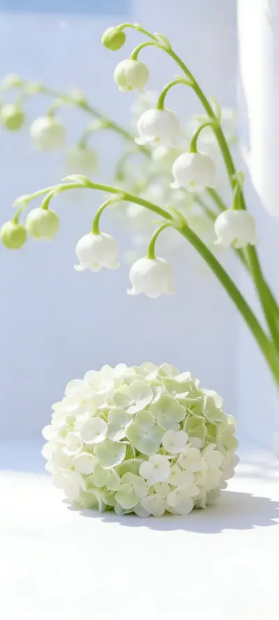 4k壁纸壁纸 - 花 - 室内 - 清新「哲风壁纸」