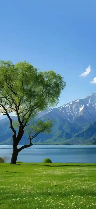 4k壁纸壁纸 - 树木 - 清新 - 湖泊「哲风壁纸」