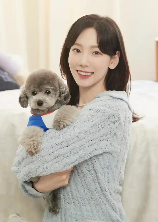 4k宠物壁纸 - 小狗 - 居家 - 微笑「哲风壁纸」