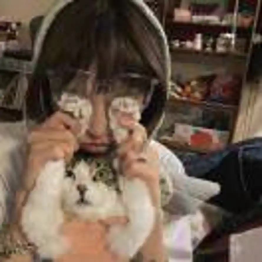 薯什么条的头像