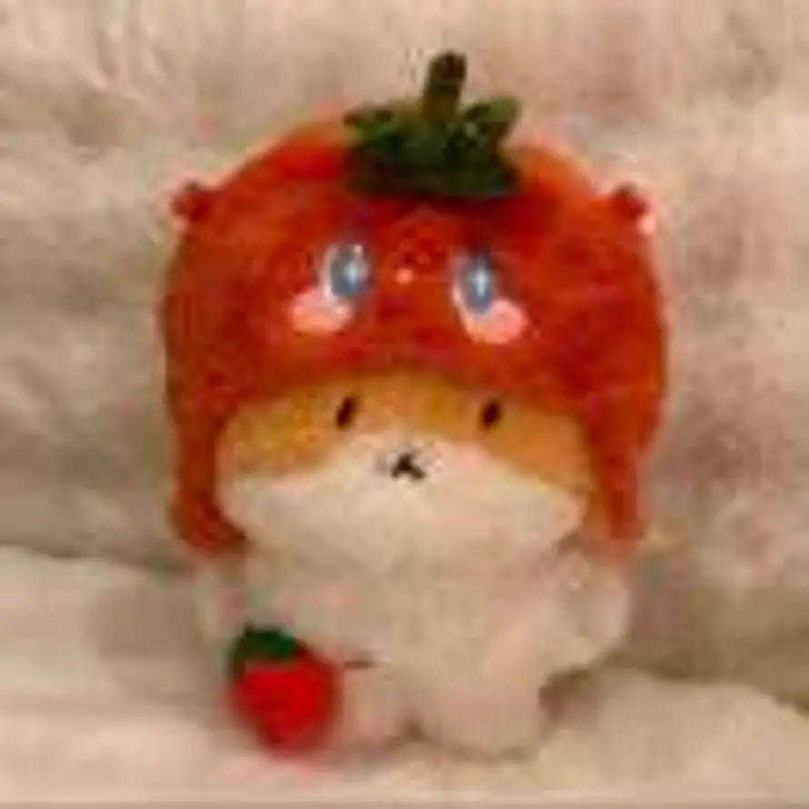 '.ㅅ'的用户头像 - 哲风壁纸