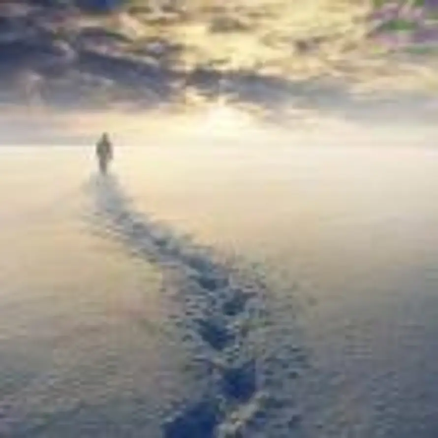 A0钜航物流货运的头像