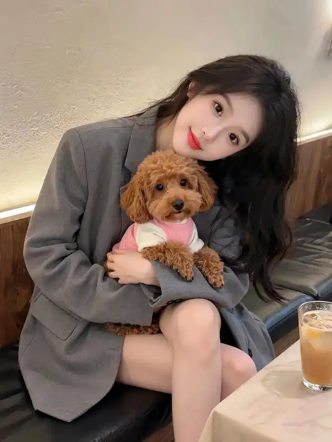 4k休闲壁纸 - 壁纸 - 宠物 - 手机「哲风壁纸」