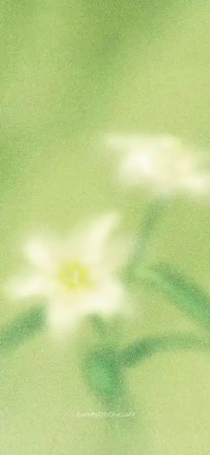 4k手绘壁纸 - 水仙 - 淡雅 - 清新「哲风壁纸」