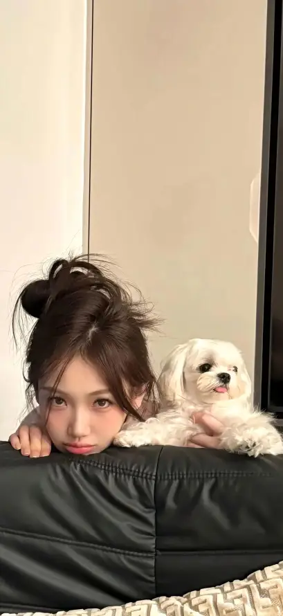 4k可爱壁纸 - 室内 - 居家 - 日常「哲风壁纸」