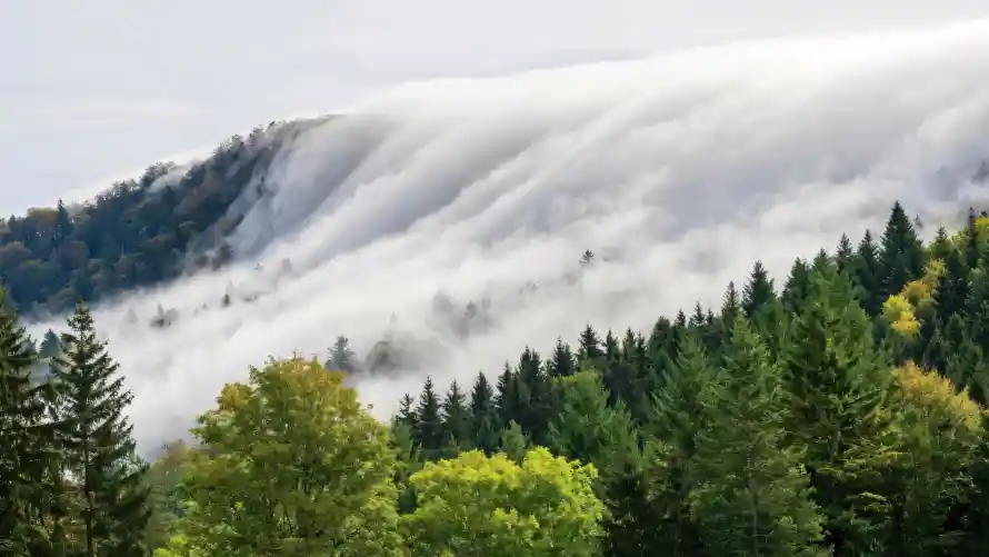 4k云雾壁纸 - 山林 - 山脉 - 山谷「哲风壁纸」 4k云雾壁纸 - 山林 - 山脉 - 山谷「哲风壁纸」