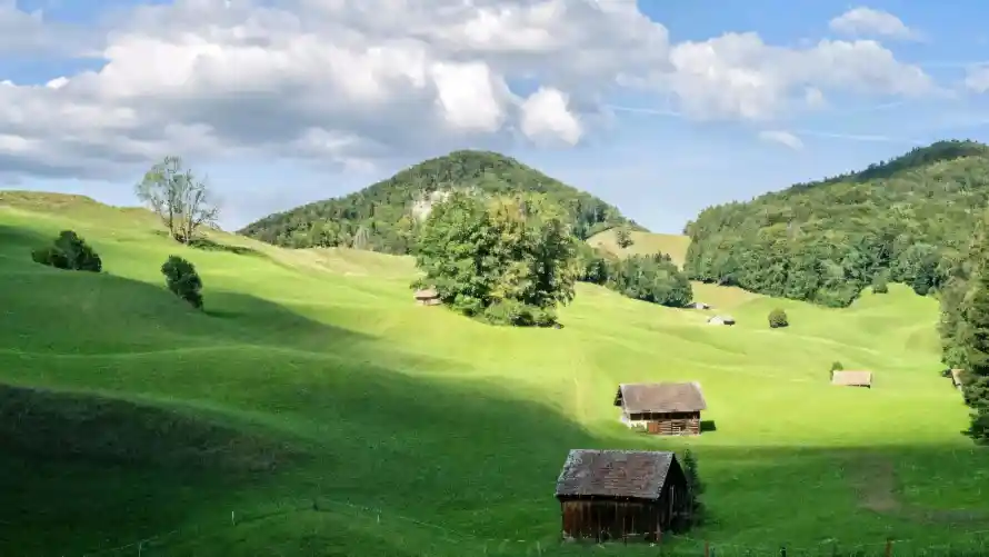 4k乡野壁纸 - 图恩 - 山林 - 山野「哲风壁纸」
