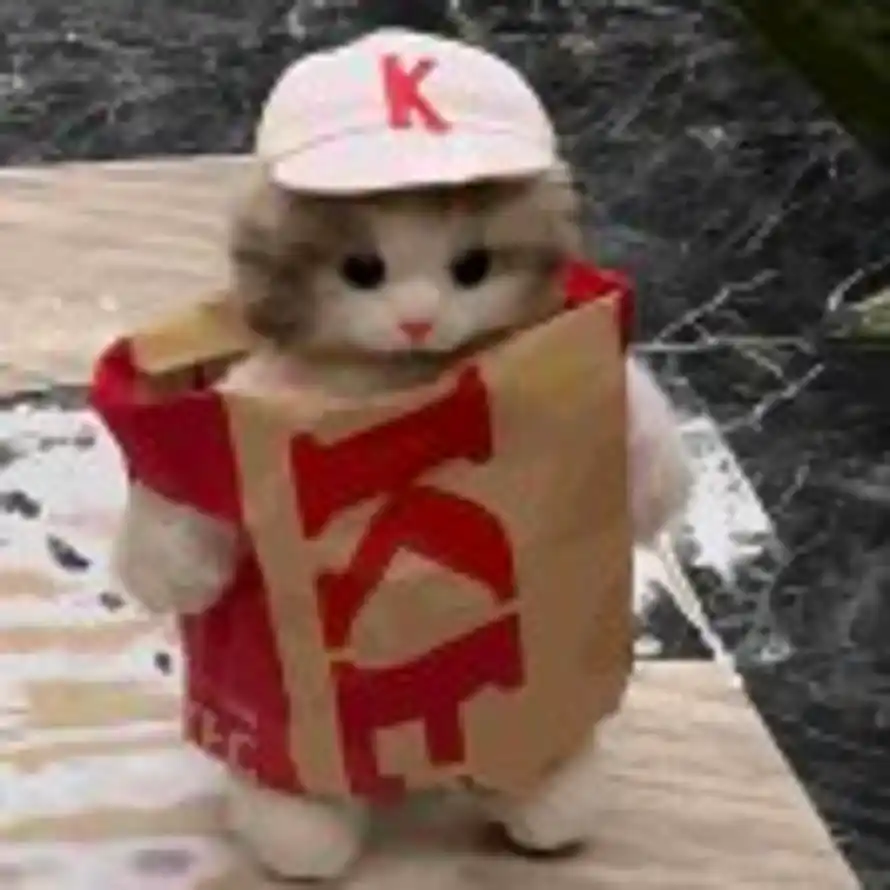 Zora的头像