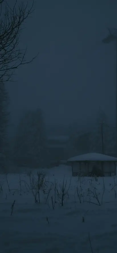 4k冬日壁纸 - 寒冷 - 户外 - 房屋「哲风壁纸」