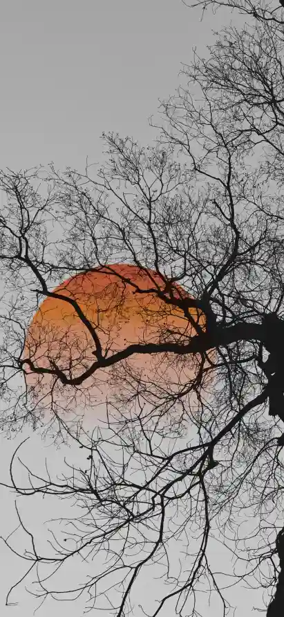 4k冬日壁纸 - 夜景 - 夜空 - 月影「哲风壁纸」