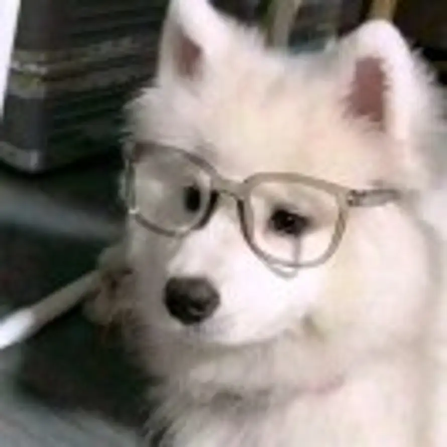 小张同学的头像