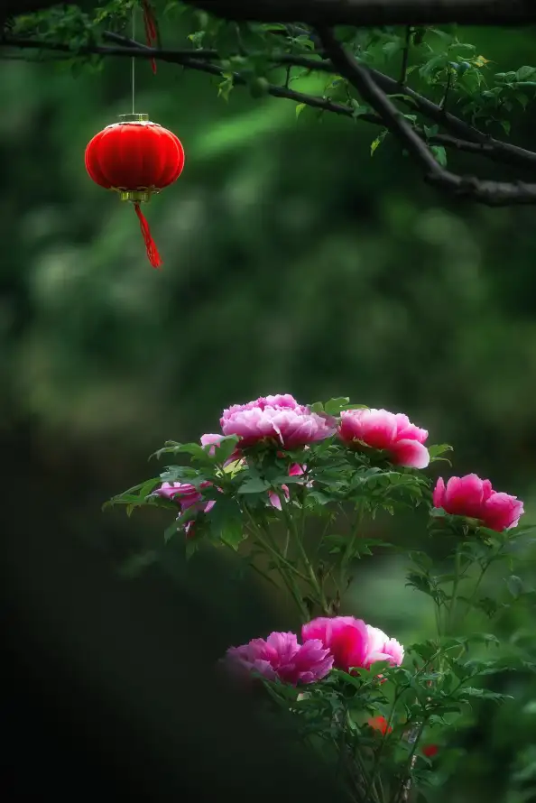 4k中式壁纸 - 喜庆 - 国风 - 壁纸「哲风壁纸」