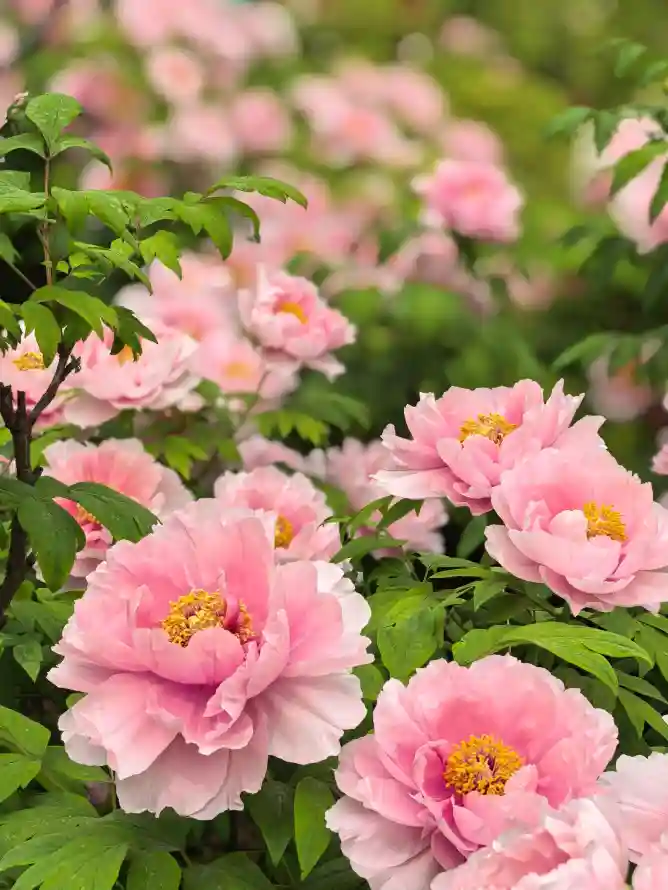 4k壁纸壁纸 - 户外 - 手机 - 清新「哲风壁纸」