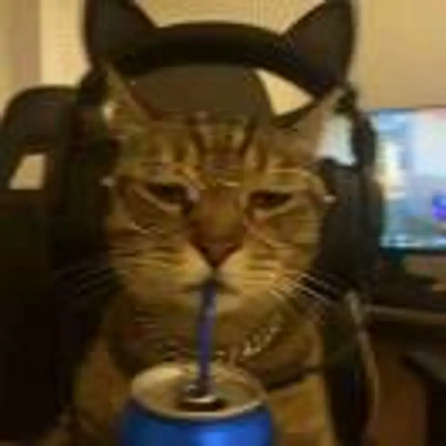 斑马还没有睡的头像