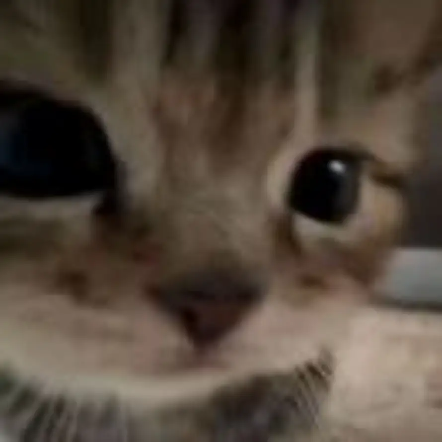 热心小丁的头像