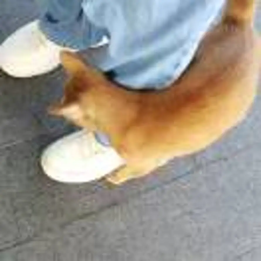Eric的头像