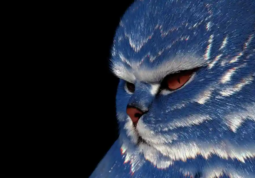 4k简约壁纸 - 猫咪 - 热门壁纸 - wallpaper「哲风壁纸」