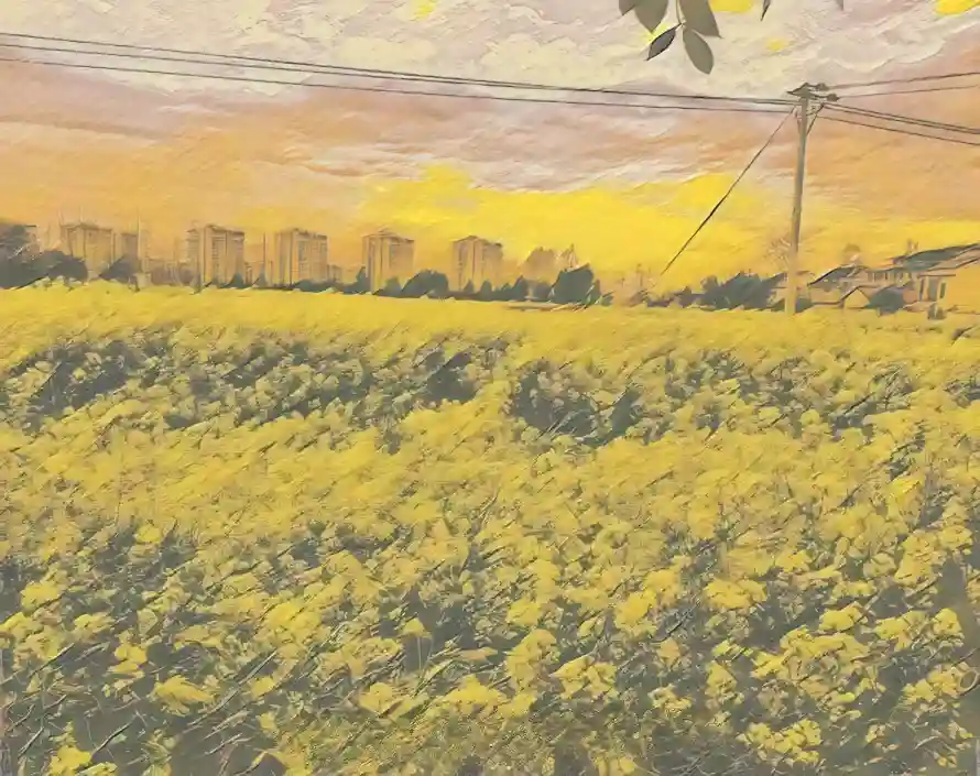 4k油画风壁纸 - 油麦菜花田 - 热门壁纸 - wallpaper「哲风壁纸」