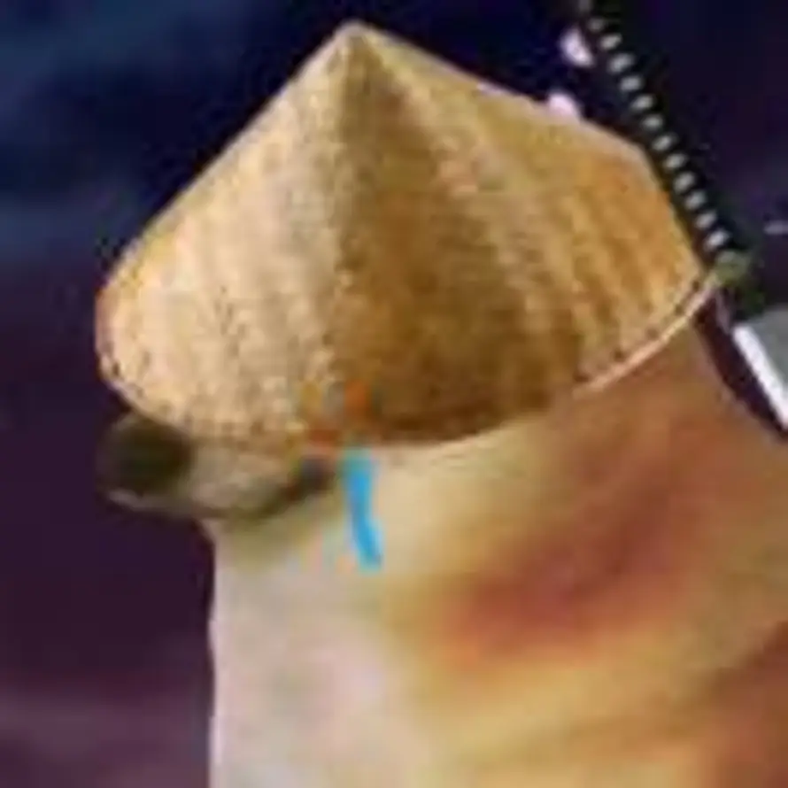 SSSS的头像
