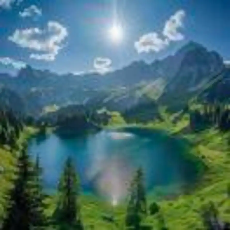  🐾顺风顺水顺财神的头像