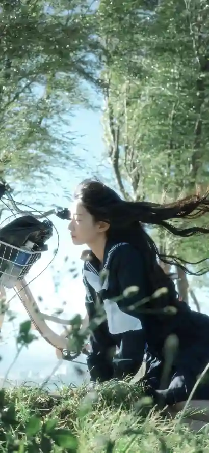 4k休闲壁纸 - 户外 - 林间 - 树林「哲风壁纸」