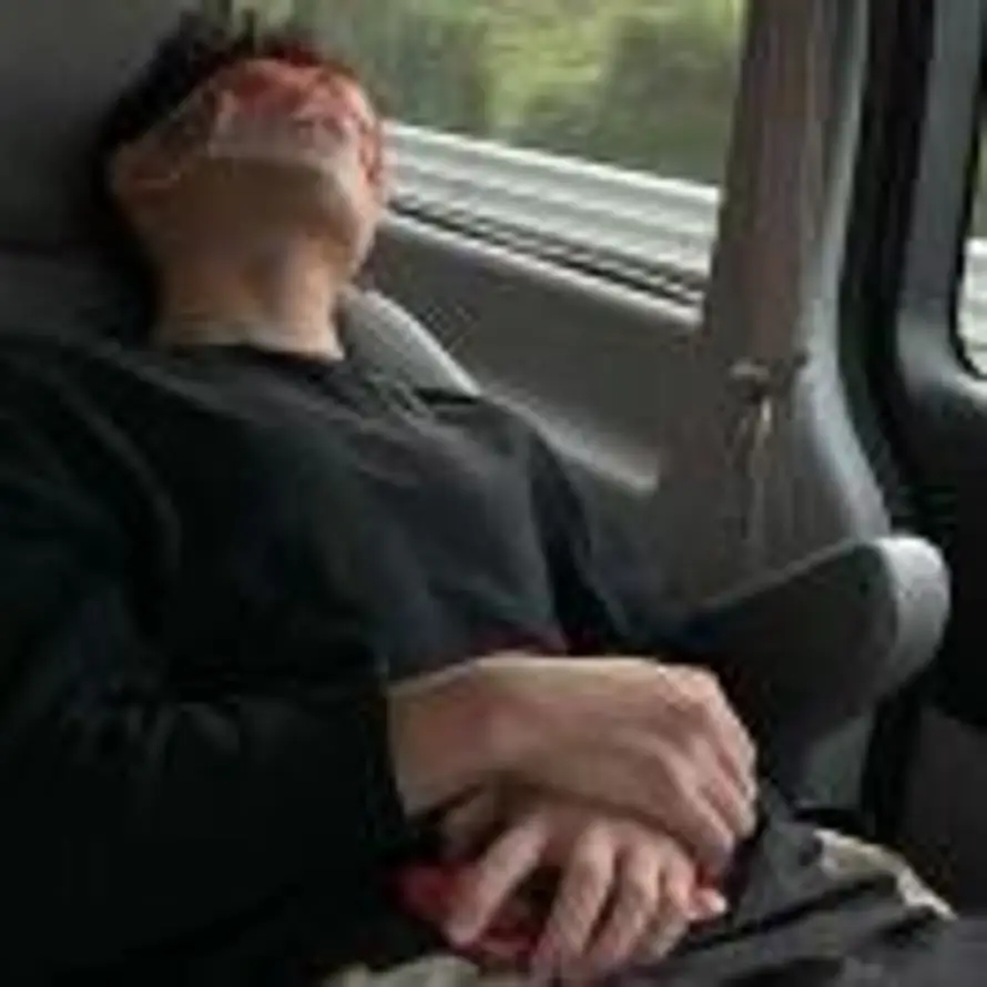 白日梦尽头的头像