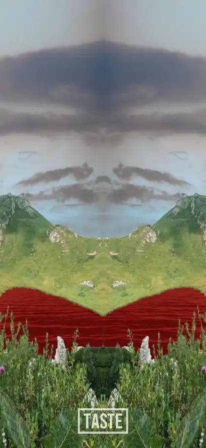 4k草地壁纸 - 山川 - 热门壁纸 - wallpaper「哲风壁纸」